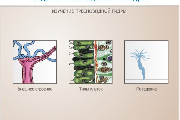 Зайти в кракен