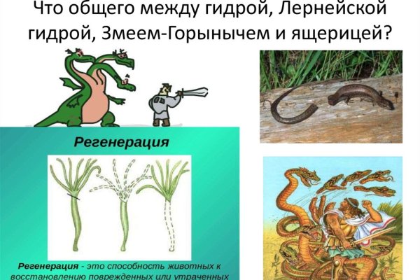 Kraken at зеркало