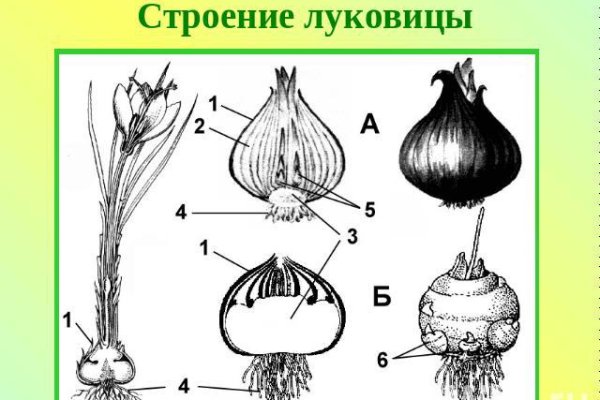 Открыть даркнет