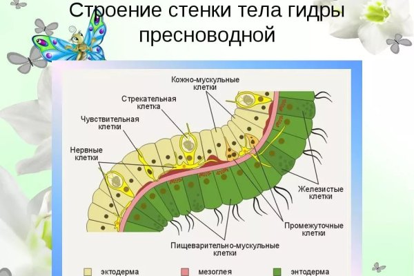 Кракен даркнет тг