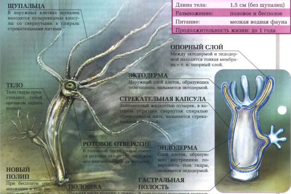 Clear ссылка на кракен