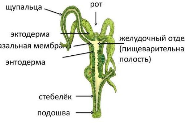 Kraken тор k2tor