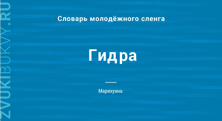 Кракен почему пользователь не найден
