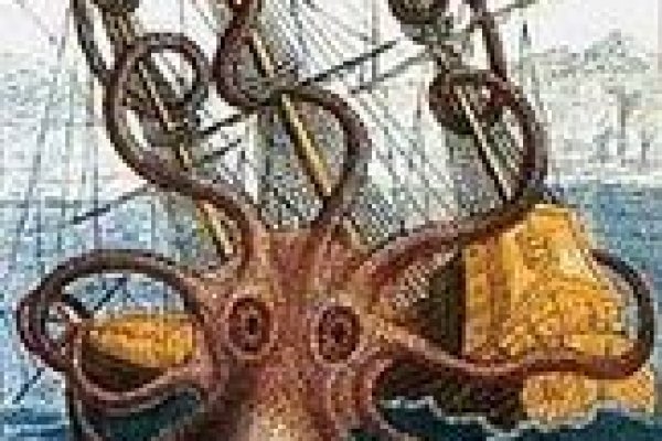 Кракен сайт как выглядит