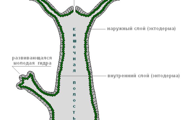 Кракен настоящее зеркало