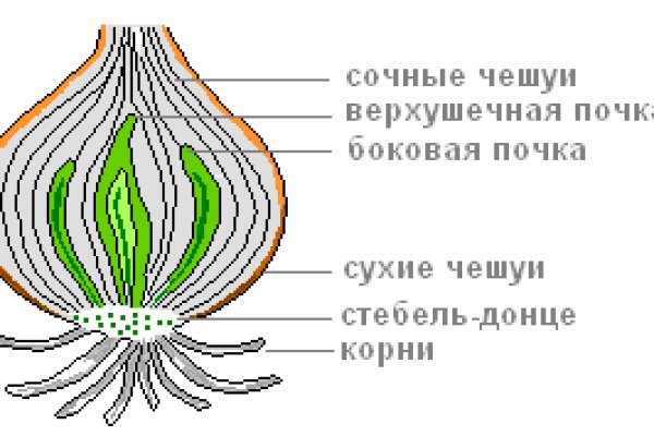 Кракен безопасный вход