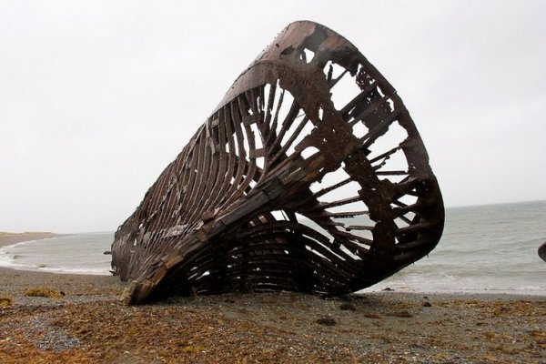Kraken 24 at